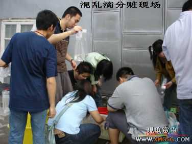 [����]���˽ڲ�����