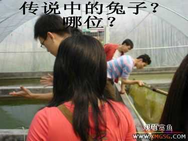 [����]���˽ڲ�����