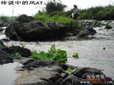 [����]���˽ڲ�����