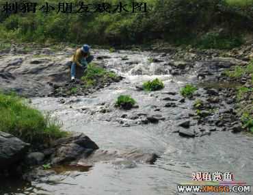 [����]���˽ڲ�����