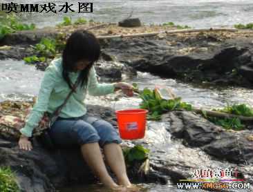 [����]���˽ڲ�����