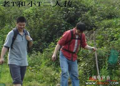 [����]���˽ڲ�����