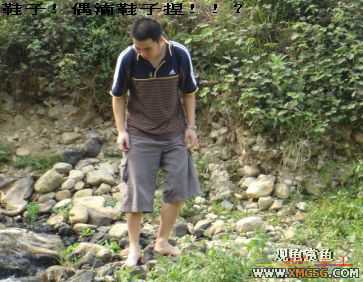 [����]���˽ڲ�����