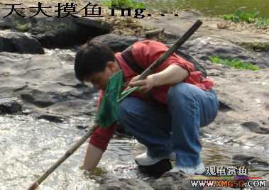 [����]���˽ڲ�����