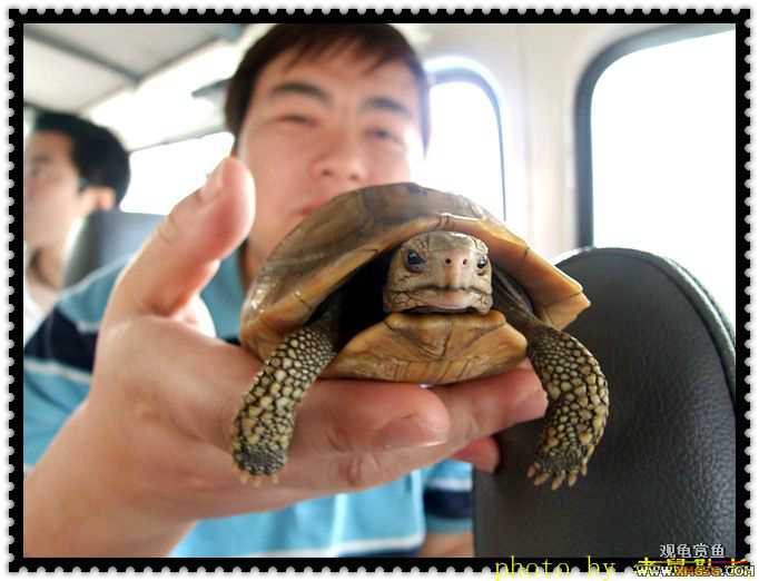 [ԭ��]���˽�����ͬ��