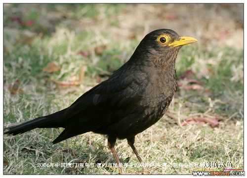 [����]�����