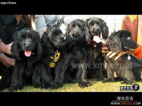 �¶��н��~~~~~