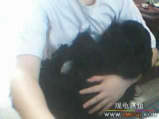 ����˯��ʱϲ����λ�á�