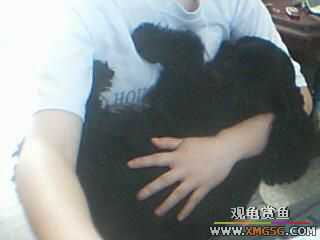 ����˯��ʱϲ����λ�á�