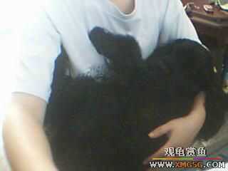 ����˯��ʱϲ����λ�á�