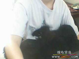 ����˯��ʱϲ����λ�á�