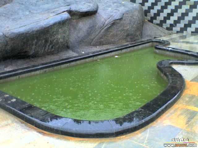 ���Ӷ����У�