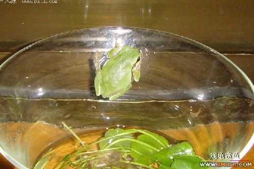 ���˱���