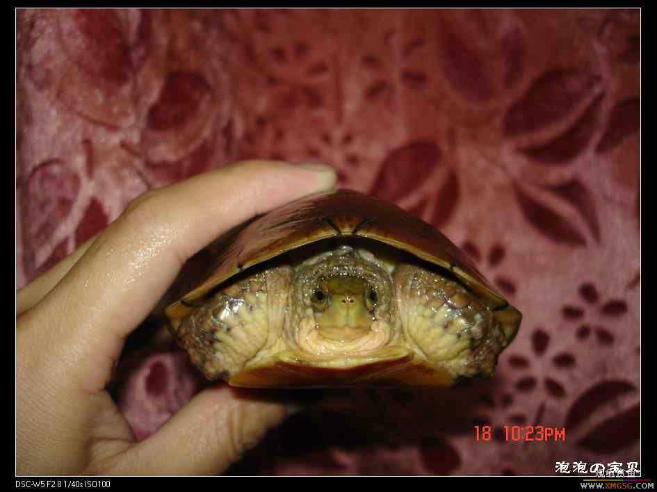 [��]=��= �ؼ�6���ƺ� ����160