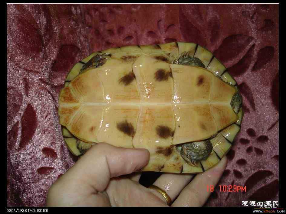 [��]=��= �ؼ�6���ƺ� ����160