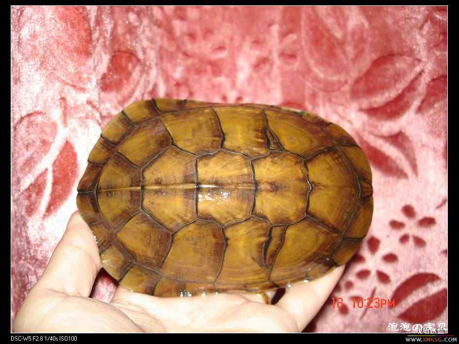 [��]=��= �ؼ�6���ƺ� ����160