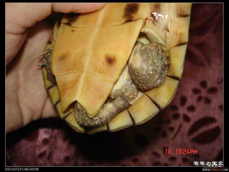 [��]=��= �ؼ�6���ƺ� ����160