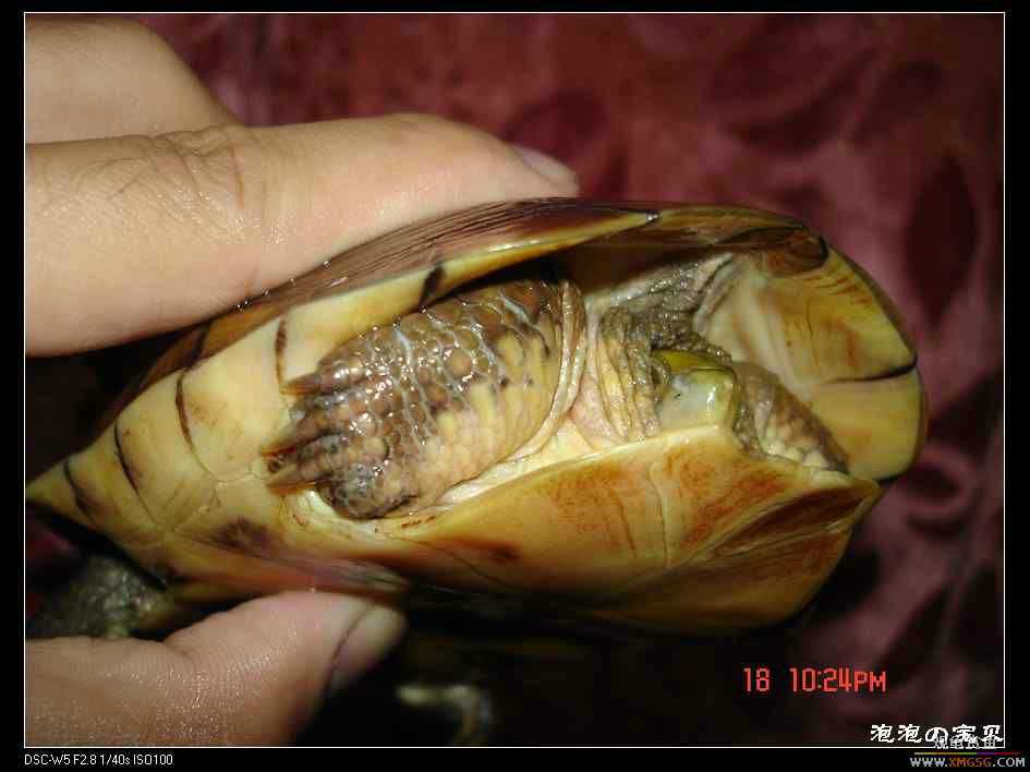 [��]=��= �ؼ�6���ƺ� ����160