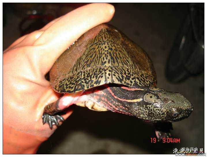 [��]070518 ��Ʒ�۰༸ֻ