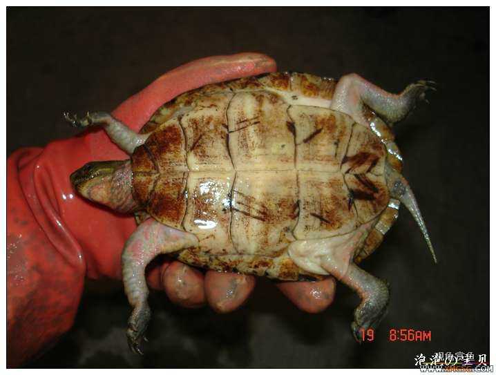 [��]070518 ��Ʒ�۰༸ֻ