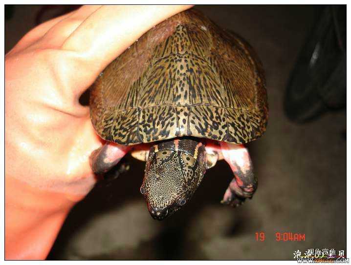 [��]070518 ��Ʒ�۰༸ֻ