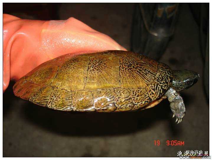 [��]070518 ��Ʒ�۰༸ֻ