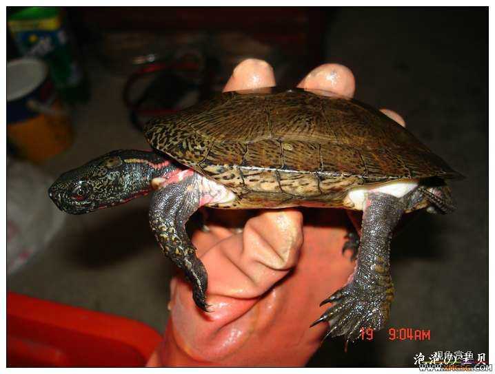 [��]070518 ��Ʒ�۰༸ֻ