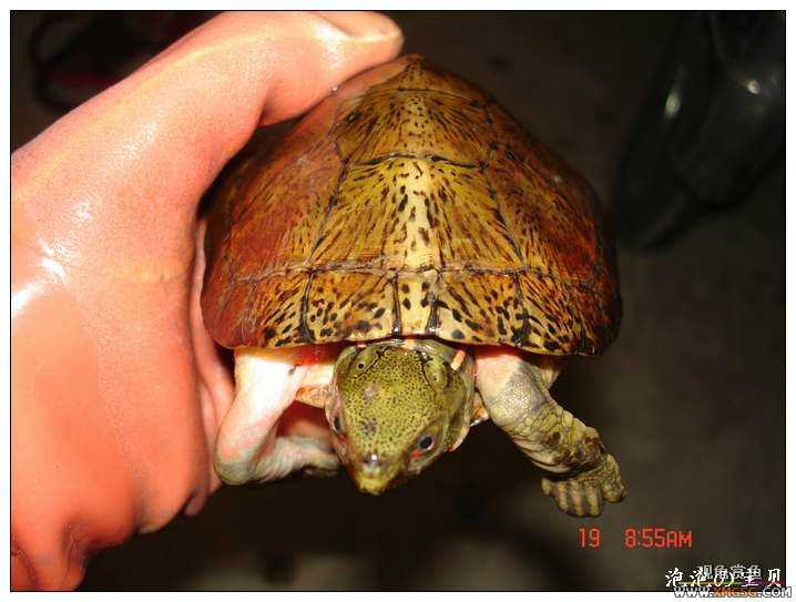 [��]070518 ��Ʒ�۰༸ֻ