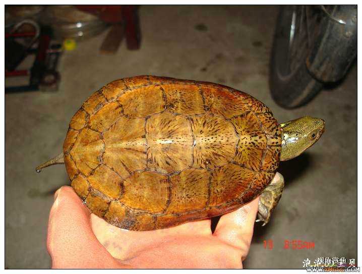 [��]070518 ��Ʒ�۰༸ֻ