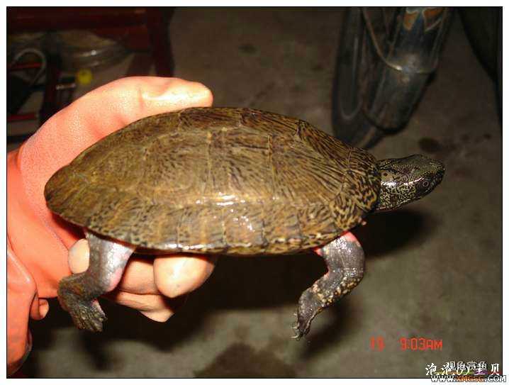 [��]070518 ��Ʒ�۰༸ֻ