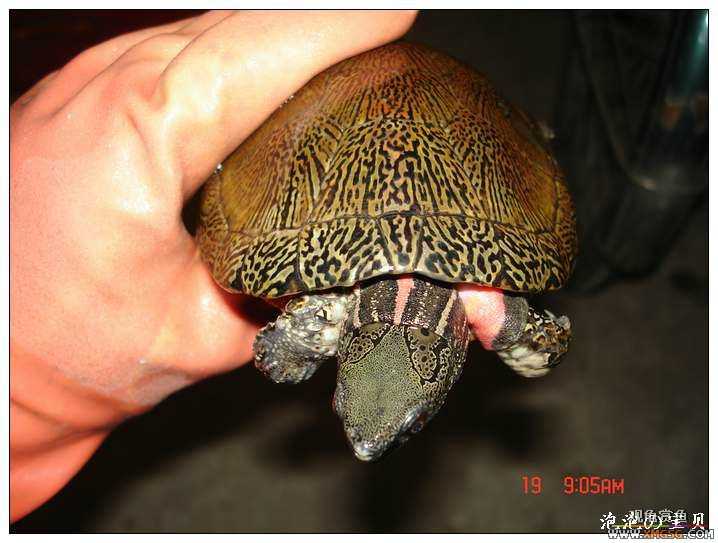 [��]070518 ��Ʒ�۰༸ֻ