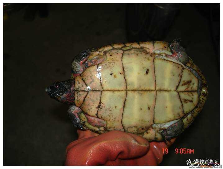 [��]070518 ��Ʒ�۰༸ֻ