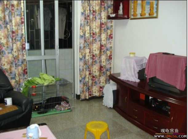 [ԭ��]����֮�����͹������ѡ�