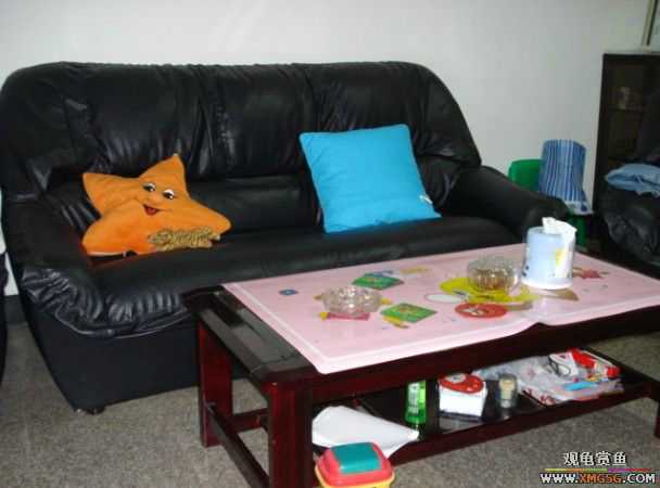 [ԭ��]����֮�����͹������ѡ�