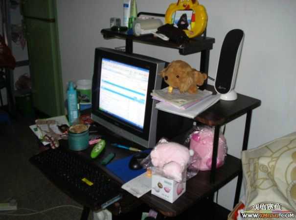 [ԭ��]����֮�����͹������ѡ�