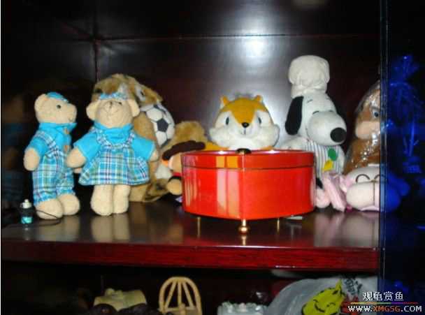 [ԭ��]����֮�����͹������ѡ�