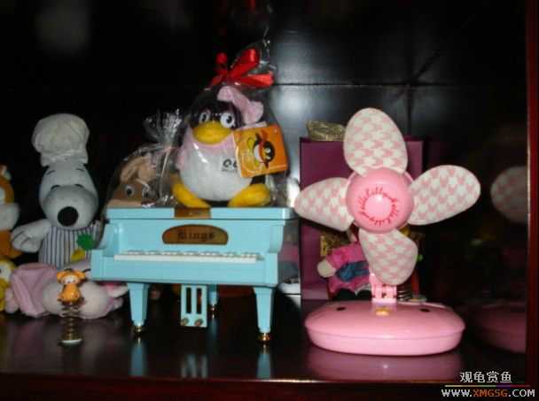 [ԭ��]����֮�����͹������ѡ�