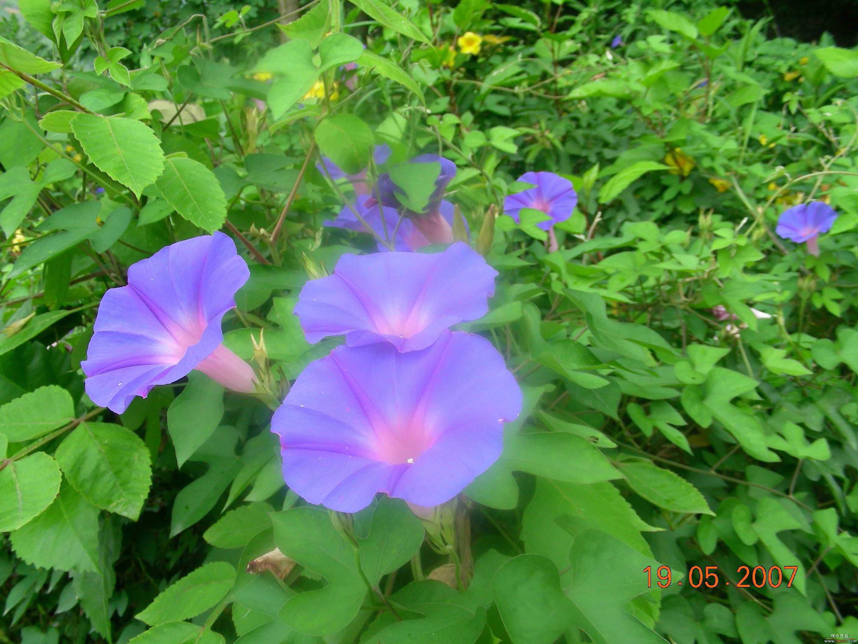 ����-�ϰ���һ���г�����