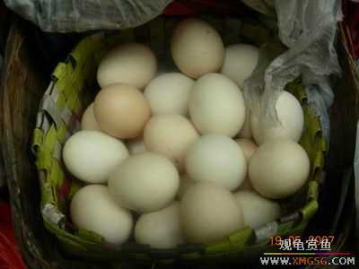 ����-�ϰ���һ���г�����