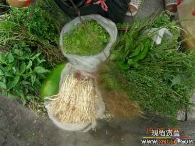 ����-�ϰ���һ���г�����