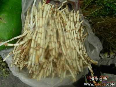 ����-�ϰ���һ���г�����