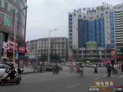 ����-�ϰ���һ���г�����