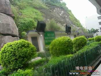 �����Ҷ�