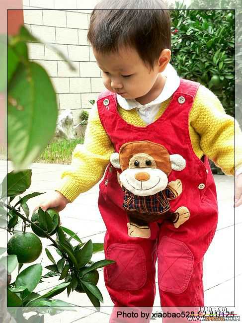 ԭ�����ӿ��������ԣ�������