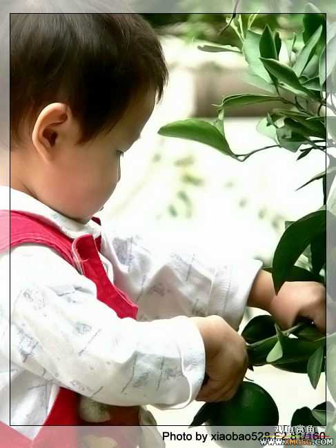 ԭ�����ӿ��������ԣ�������