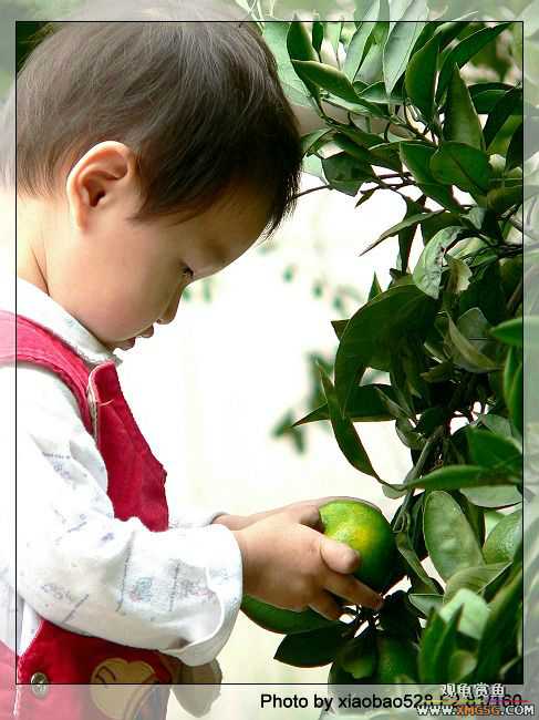 ԭ�����ӿ��������ԣ�������