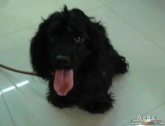 [ԭ��]�������׼�