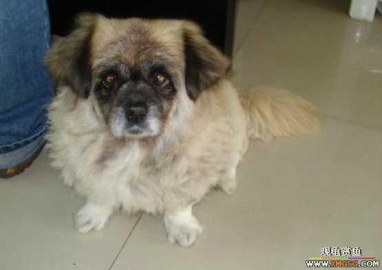 [ԭ��]�������׼�