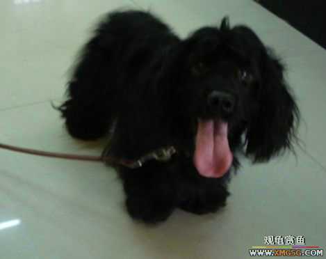 [ԭ��]�������׼�