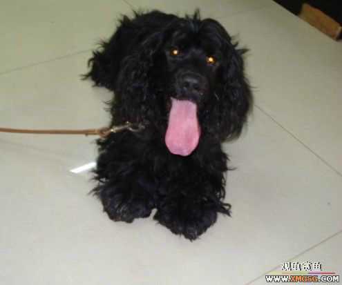 [ԭ��]�������׼�